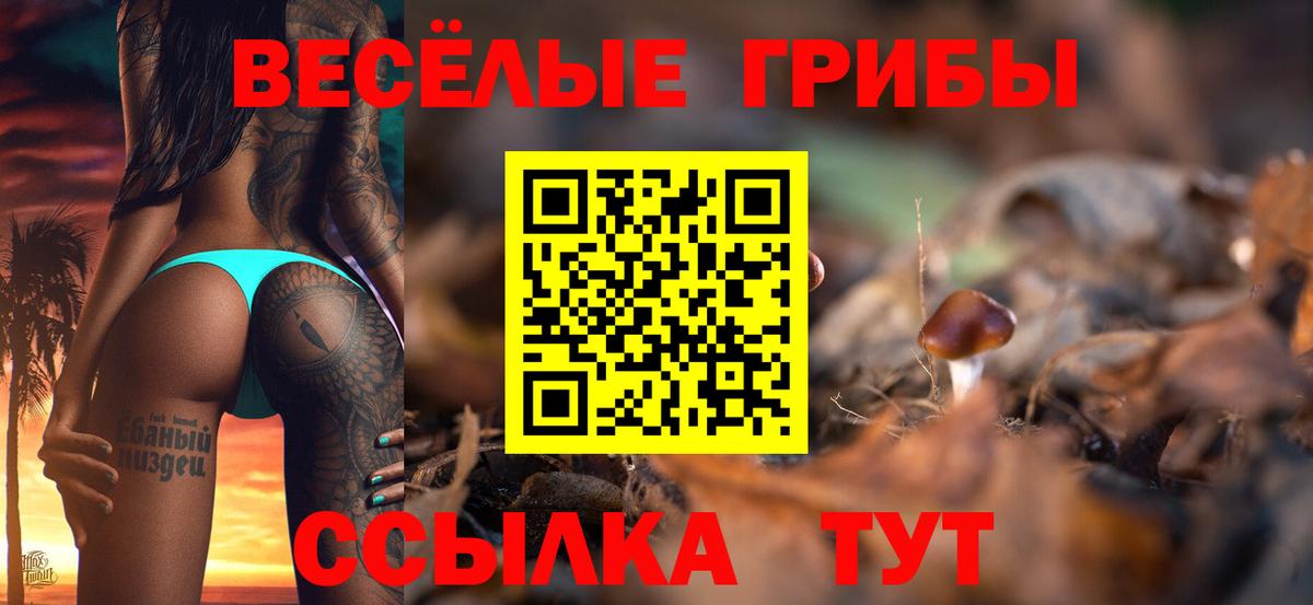 Галлюциногенные грибы Cubensis  Галлюциногенные грибы Magic Shrooms  Вход с VPN  Кинешма 