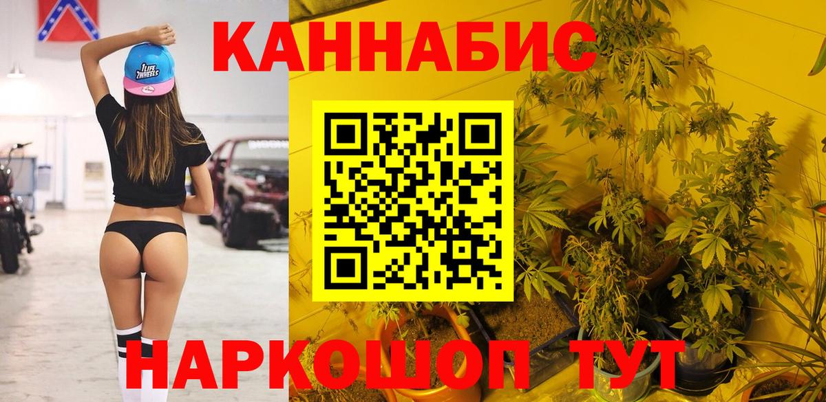 Бошки Шишки Amnesia Кинешма